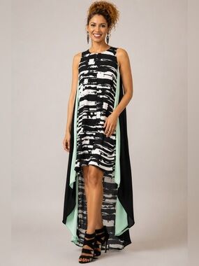 bcbg floral lace handkerchief dress Bcbgmaxazria Handkerchief Dress S